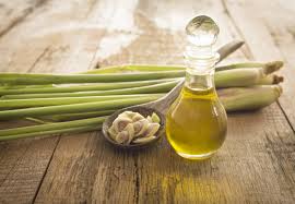 lemongrass - best essential oil for acne scars