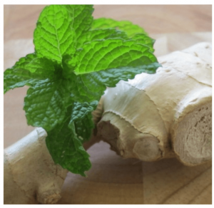 O Plump Smashbox Ingredients