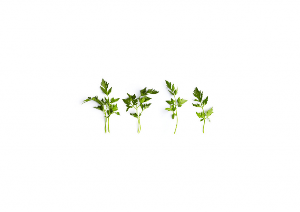 Organic Parsley Leaf Powder