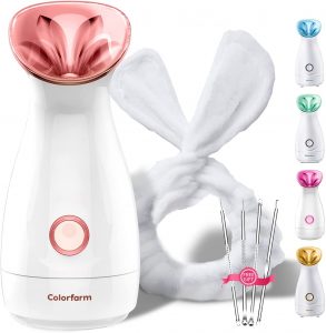 Best Facial Steamers